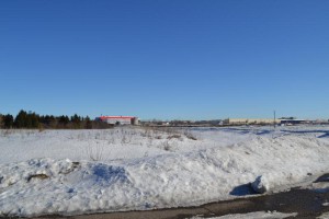 DSC_0419.JPG