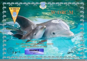 dolphins-wdrcm-40-525.jpg